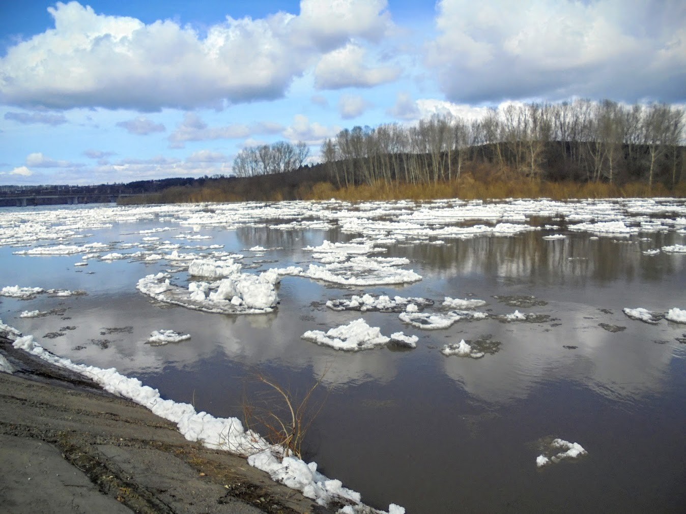 льдины на реке весной